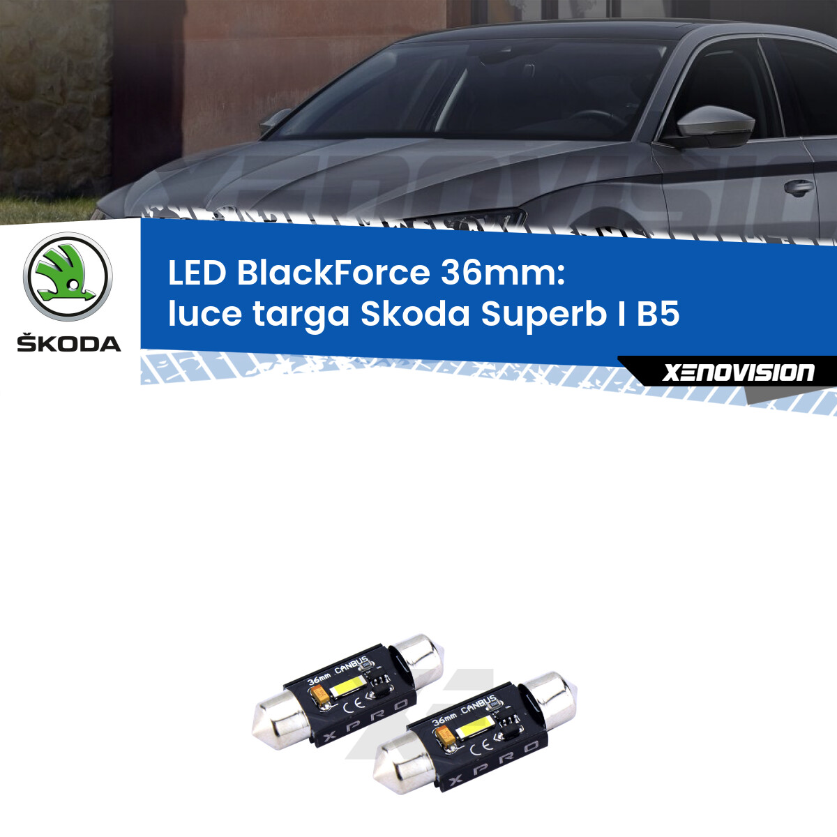 Luce Targa LED per Skoda Superb I B5 2001 - 2008: BlackForce C5W 36mm