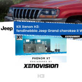 0 Kit Xenon H3 Canbus per Fendinebbia Jeep Grand cherokee II WJ, WG 1999 - 2004 H3: Kit Xenon PhenomXT Xenovision 42W Canbus