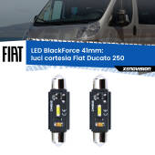 0 Luci Cortesia LED per Fiat Ducato 250 2006 - 2018: C5W BlackForce 41mm (Coppia) C5W 41mm: LED Blackforce 6000k (Coppia)