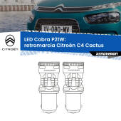 0 Retromarcia LED Citroën C4 Cactus 2014 - 2018: P21W Cobra P21W: LED Cobra 6000k (Coppia)