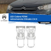 0 Retromarcia LED Citroën C4 II 2009 - 2016: P21W Cobra P21W: LED Cobra 6000k (Coppia)