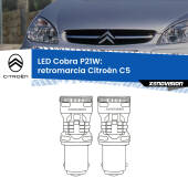 0 Retromarcia LED Citroën C5  2001 - 2004: P21W Cobra P21W: LED Cobra 6000k (Coppia)
