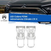 0 Retromarcia LED Citroën C5 X 2021 in poi: P21W Cobra P21W: LED Cobra 6000k (Coppia)