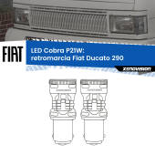 0 Retromarcia LED Fiat Ducato 290 1989 - 1994: P21W Cobra P21W: LED Cobra 6000k (Coppia)