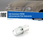 0 Retromarcia LED Fiat Seicento 1998 - 2010: P21W Kannon P21W: Lampadina retromarcia LED Kannon