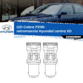 0 Retromarcia LED Hyundai Lantra XD 2000 - 2003: P21W Cobra P21W: LED Cobra 6000k (Coppia)