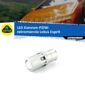 0 Retromarcia LED Lotus Esprit 1989 - 2003: P21W Kannon P21W: Lampadina retromarcia LED Kannon