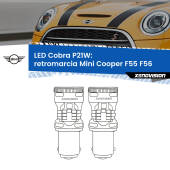 0 Retromarcia LED Mini Cooper F55 F56 2013 - 2017: P21W Cobra P21W: LED Cobra 6000k (Coppia)