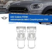 0 Retromarcia LED Mini Countryman F60 2016 - 2019: P21W Cobra P21W: LED Cobra 6000k (Coppia)