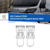 0 Retromarcia LED Peugeot Boxer Mk2 2002 - 2005: P21W Cobra P21W: LED Cobra 6000k (Coppia)