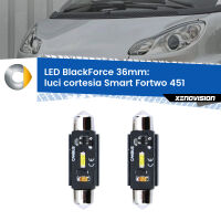 Luci Cortesia LED per Smart Fortwo 451 2007 - 2014: C5W BlackForce 36mm (Coppia)