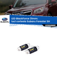 Luci Cortesia LED per Subaru Forester SH 2008 - 2014: BlackForce C5W 31mm