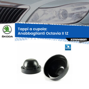 MaXtron Kit Illuminazione Interna LED Per Skoda Octavia 1Z, Luce Bianco Freddo 6000K, Plug & Play