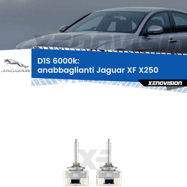 <b>Lampade xenon D1S 6000k Plug&Play</b> di ricambio per fari Anabbaglianti xenon di serie <b>Jaguar XF</b> X250 2007 - 2011. Qualità Massima, Performance pari alle originali.