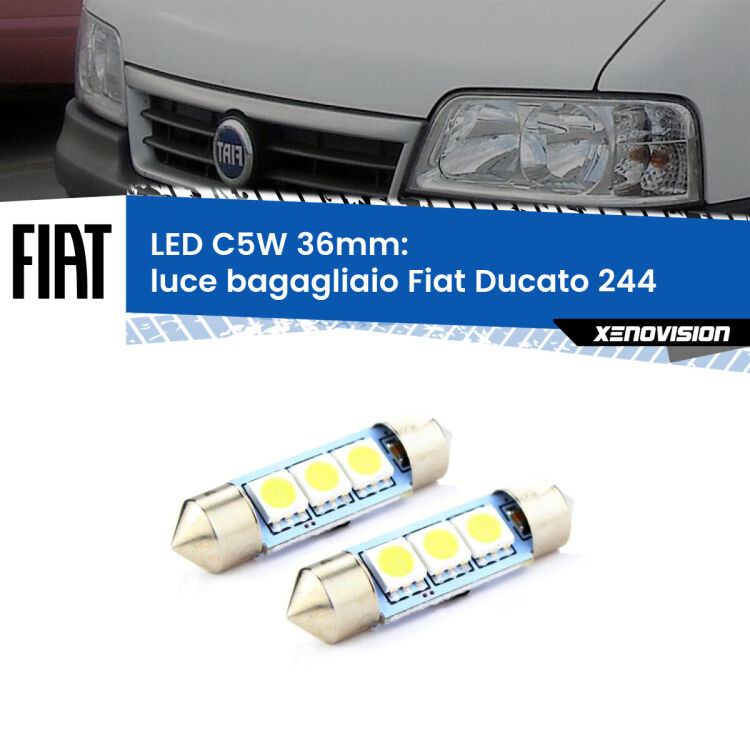 0 Luce Bagagliaio LED c5w 36mm Fiat Ducato 244 2002 - 2006 (Coppia) <strong>Luce Bagagliaio LED per Fiat Ducato</strong> 244 2002 - 2006. Coppia lampade <strong>C5W</strong> 36mm estremamente longeve.