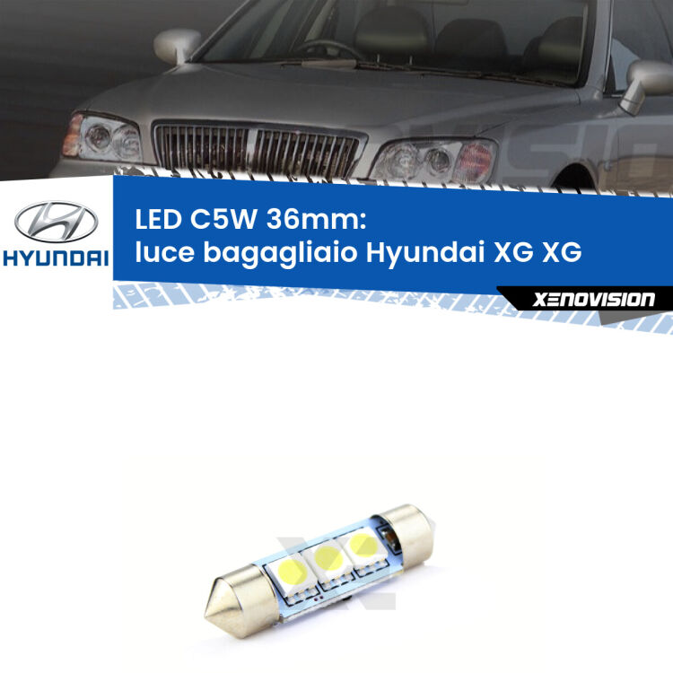 0 Luce Bagagliaio LED c5w 36mm Hyundai XG XG 1998 - 2005 (Coppia) <strong>Luce Bagagliaio LED per Hyundai XG</strong> XG 1998 - 2005. Coppia lampade <strong>C5W</strong> 36mm estremamente longeve.