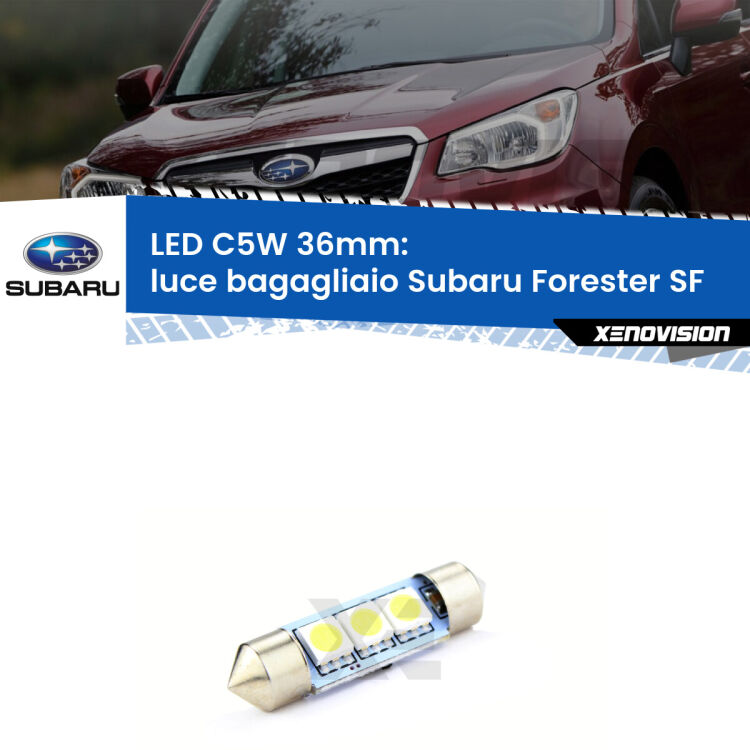 LED Luce Bagagliaio Subaru Forester SF 1997 - 2002. Una lampadina led innesto C5W 36mm canbus estremamente longeva.