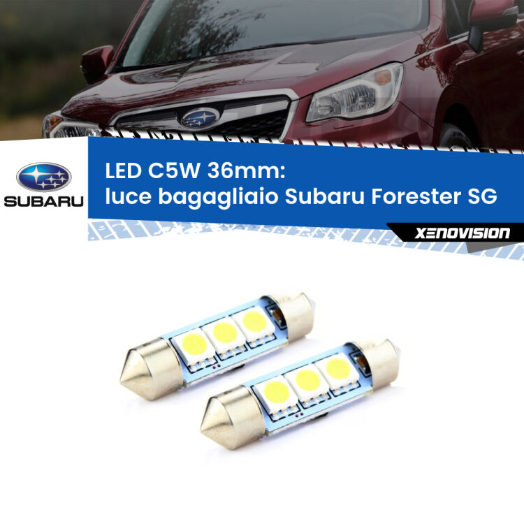 0 Luce Bagagliaio LED c5w 36mm Subaru Forester SG 2002 - 2012 (Coppia) <strong>Luce Bagagliaio LED per Subaru Forester</strong> SG 2002 - 2012. Coppia lampade <strong>C5W</strong> 36mm estremamente longeve.