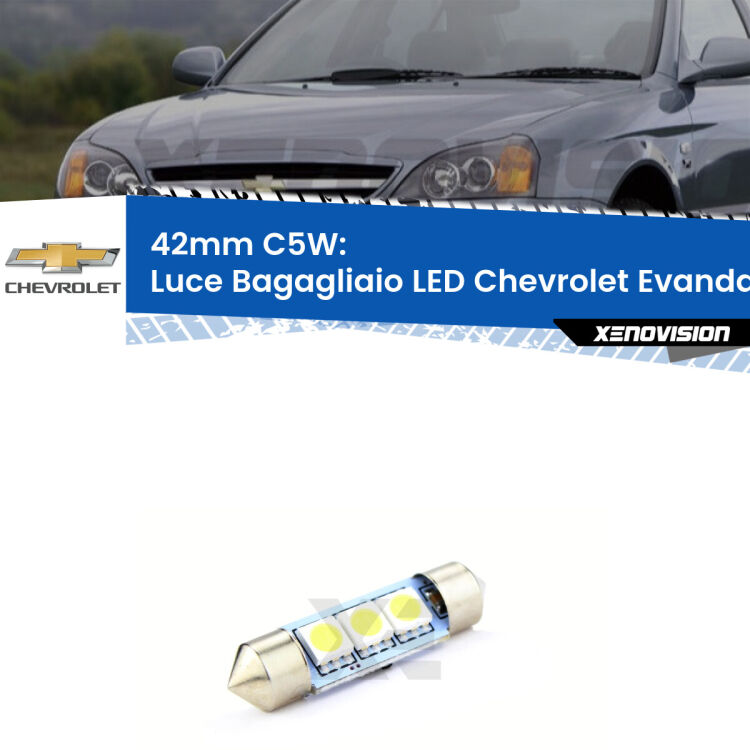 Lampadina eccezionalmente duratura, canbus e luminosa. C5W 42mm perfetto per Luce Bagagliaio LED Chevrolet Evanda  2005 - 2006<br />.