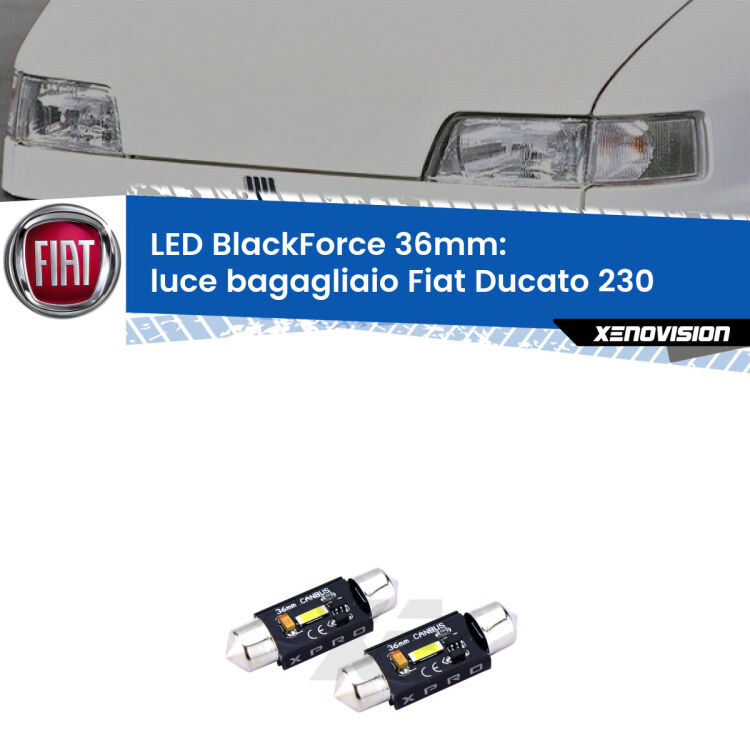 <strong>LED luce bagagliaio 36mm per Fiat Ducato</strong> 230 1994 - 2002. Coppia lampadine <strong>C5W</strong>modello BlackForce Xenovision.