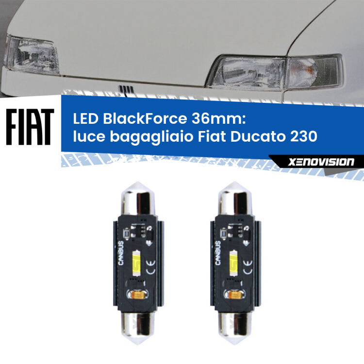 0 Luce Bagagliaio LED per Fiat Ducato 230 1994 - 2002: C5W BlackForce 36mm (Coppia) <strong>Luce Bagagliaio LED per Fiat Ducato</strong> 230 1994 - 2002. Coppia lampade <strong>C5W</strong> 36mm modello BlackForce canbus.