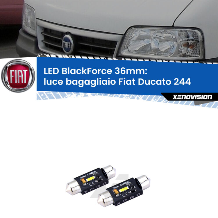 <strong>LED luce bagagliaio 36mm per Fiat Ducato</strong> 244 2002 - 2006. Coppia lampadine <strong>C5W</strong>modello BlackForce Xenovision.