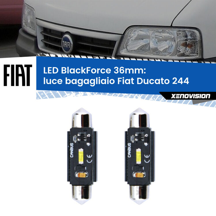 0 Luce Bagagliaio LED per Fiat Ducato 244 2002 - 2006: C5W BlackForce 36mm (Coppia) <strong>Luce Bagagliaio LED per Fiat Ducato</strong> 244 2002 - 2006. Coppia lampade <strong>C5W</strong> 36mm modello BlackForce canbus.