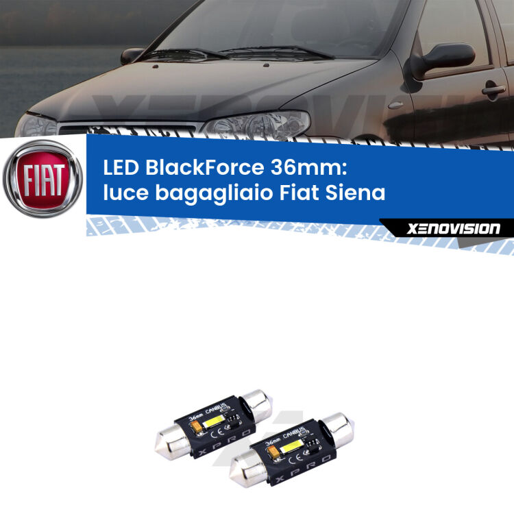 <strong>LED luce bagagliaio 36mm per Fiat Siena</strong>  1996 - 2012. Coppia lampadine <strong>C5W</strong>modello BlackForce Xenovision.