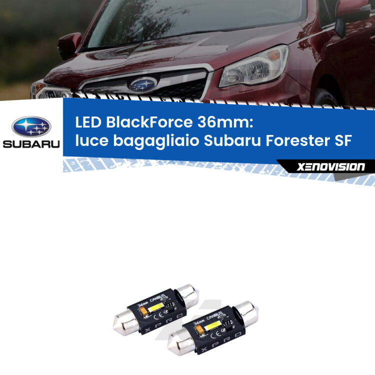<strong>LED luce bagagliaio 36mm per Subaru Forester</strong> SF 1997 - 2002. Coppia lampadine <strong>C5W</strong>modello BlackForce Xenovision.