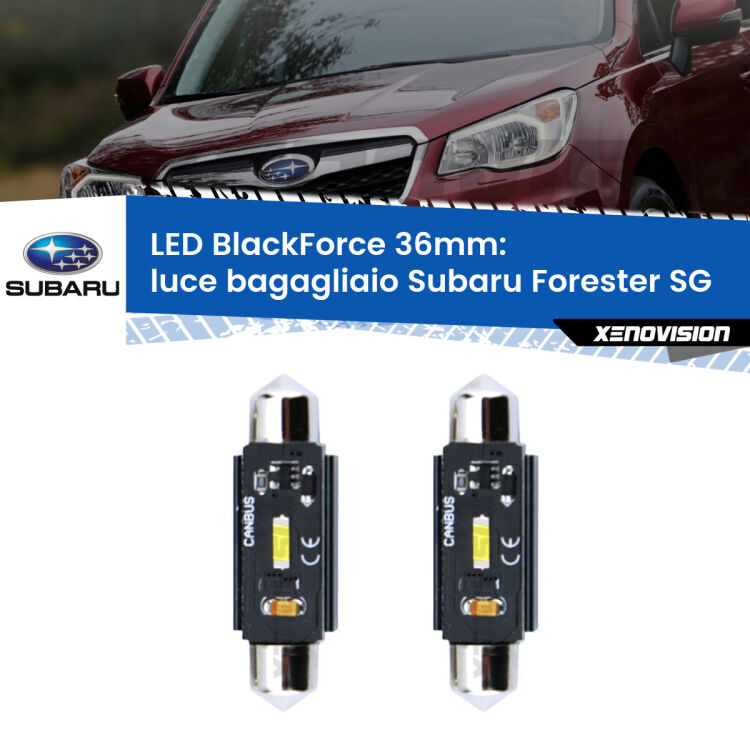 0 Luce Bagagliaio LED per Subaru Forester SG 2002 - 2012: C5W BlackForce 36mm (Coppia) <strong>Luce Bagagliaio LED per Subaru Forester</strong> SG 2002 - 2012. Coppia lampade <strong>C5W</strong> 36mm modello BlackForce canbus.