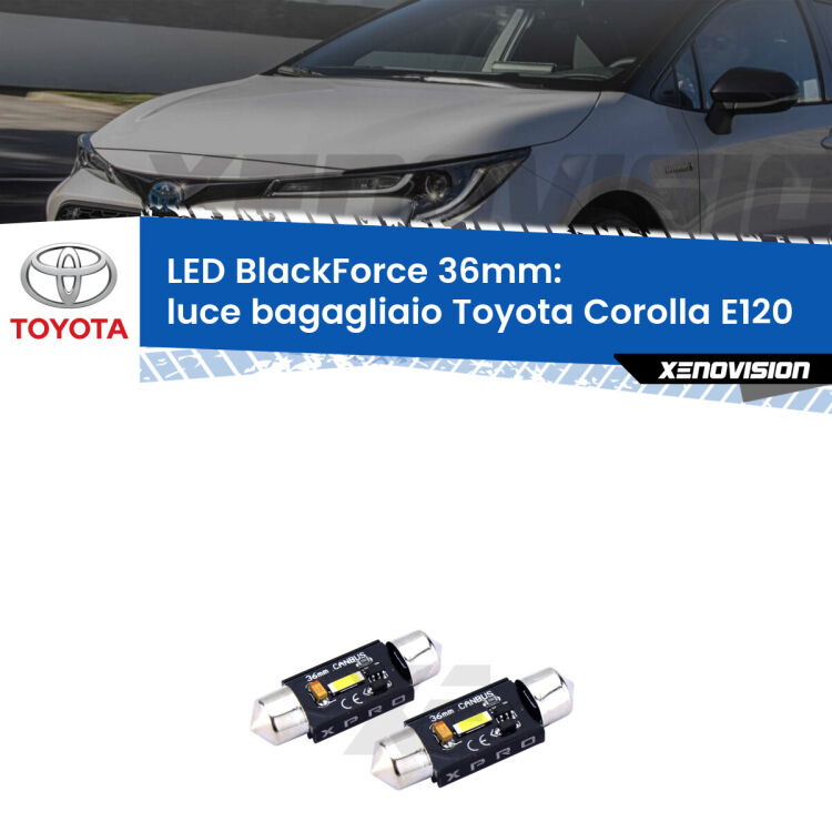 <strong>LED luce bagagliaio 36mm per Toyota Corolla</strong> E120 2002 - 2007. Coppia lampadine <strong>C5W</strong>modello BlackForce Xenovision.