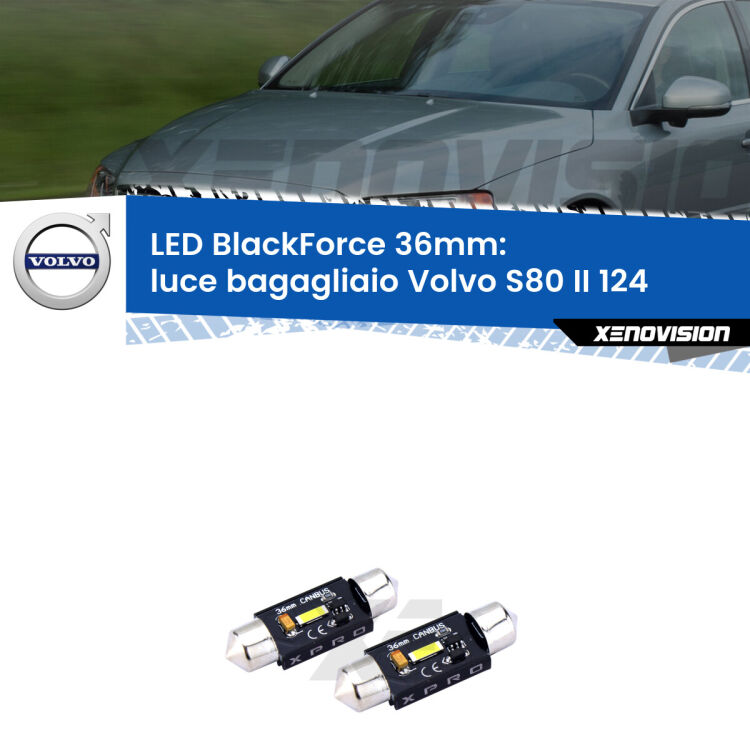 <strong>LED luce bagagliaio 36mm per Volvo S80 II</strong> 124 2006 - 2016. Coppia lampadine <strong>C5W</strong>modello BlackForce Xenovision.