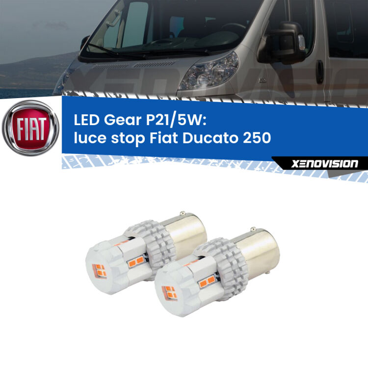 <strong>Luce Stop LED per Fiat Ducato</strong> 250 2006 - 2018. Due lampade <strong>P21/5W</strong> rosse non canbus modello Gear.