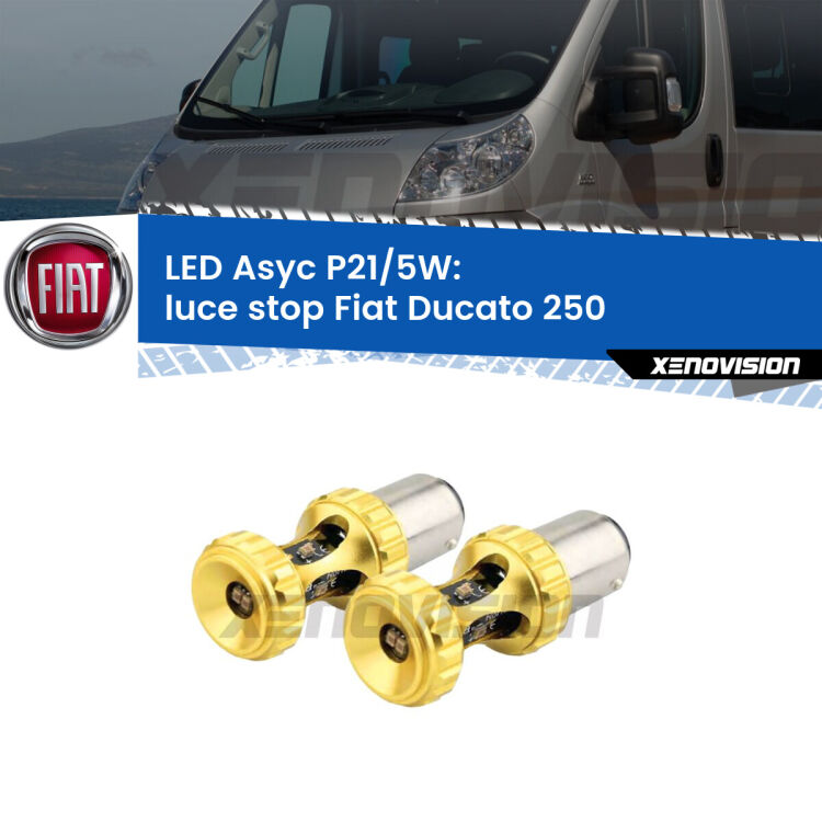 <strong>luce stop LED per Fiat Ducato</strong> 250 2006 - 2018. Lampadina <strong>P21/5W</strong> rossa Canbus modello Asyc Xenovision.