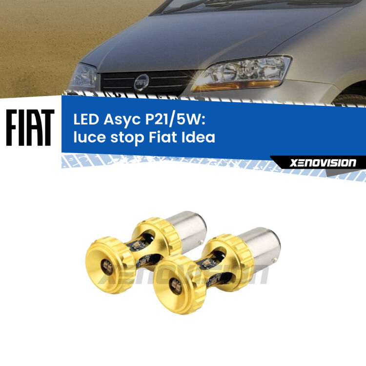 0  luce Stop LED per Fiat Idea  2003 - 2015: p21/5w Asyc <strong>luce stop LED per Fiat Idea</strong>  2003 - 2015. Lampadina <strong>P21/5W</strong> rossa Canbus modello Asyc Xenovision.
