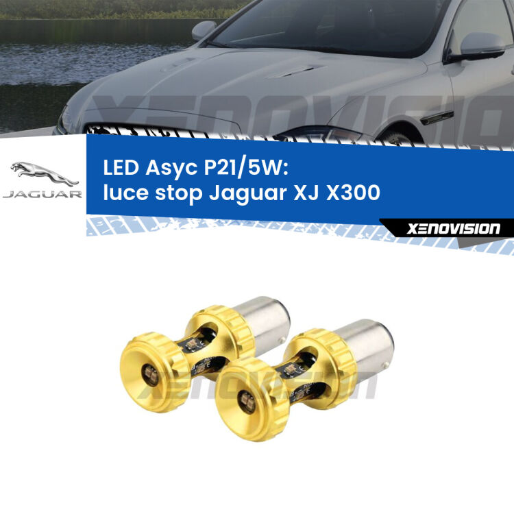 <strong>luce stop LED per Jaguar XJ</strong> X300 1994 - 1997. Lampadina <strong>P21/5W</strong> rossa Canbus modello Asyc Xenovision.