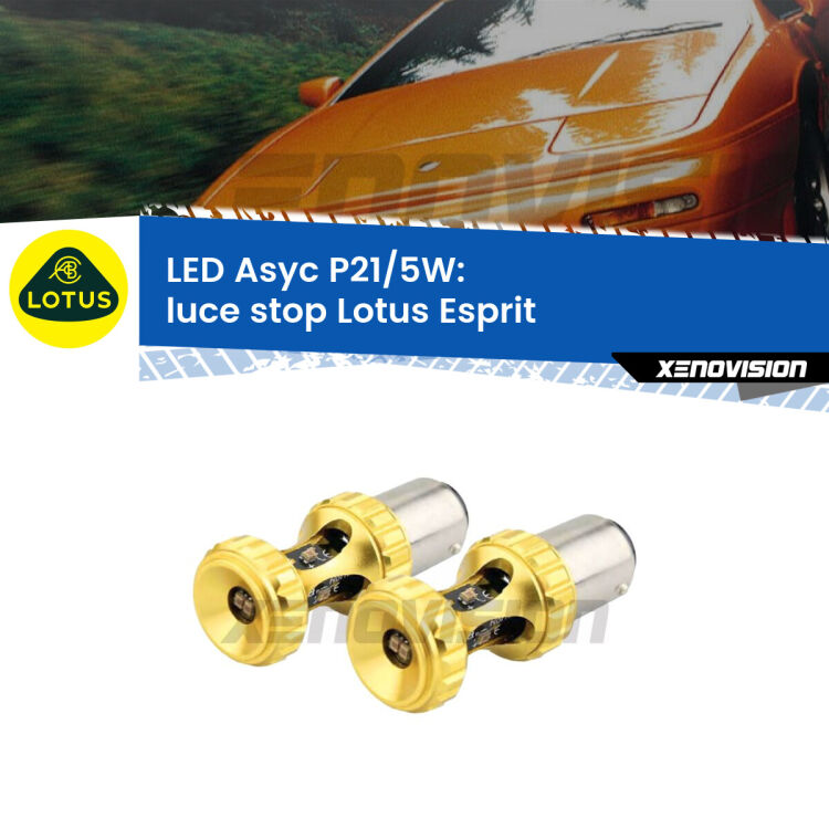 <strong>luce stop LED per Lotus Esprit</strong>  1989 - 2003. Lampadina <strong>P21/5W</strong> rossa Canbus modello Asyc Xenovision.