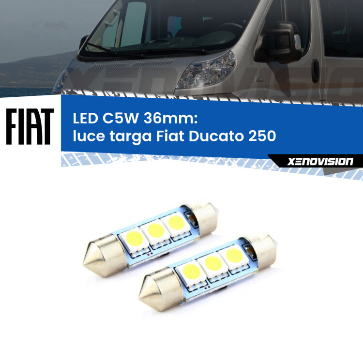 0 Luce Targa LED c5w 36mm Fiat Ducato 250 2006 - 2018 (Coppia) <strong>Luce Targa LED per Fiat Ducato</strong> 250 2006 - 2018. Coppia lampade <strong>C5W</strong> 36mm estremamente longeve.