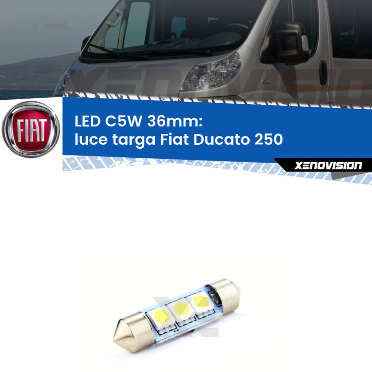 LED Luce Targa Fiat Ducato 250 2006 - 2018. Una lampadina led innesto C5W 36mm canbus estremamente longeva.