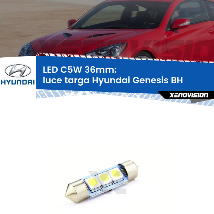 LED Luce Targa Hyundai Genesis BH 2008 - 2014. Una lampadina led innesto C5W 36mm canbus estremamente longeva.
