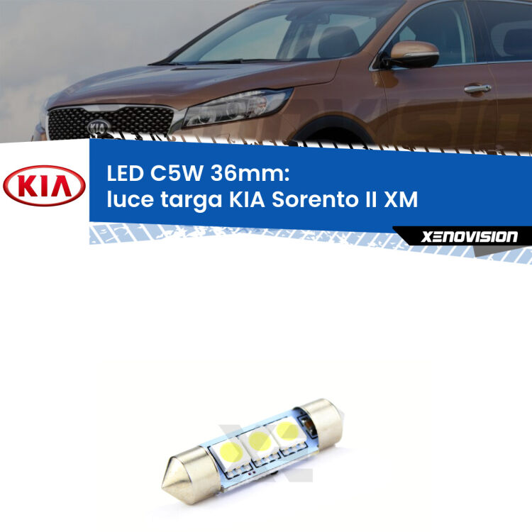 LED Luce Targa KIA Sorento II XM 2009 - 2014. Una lampadina led innesto C5W 36mm canbus estremamente longeva.