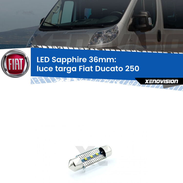 <strong>LED luce targa 36mm per Fiat Ducato</strong> 250 2006 - 2018. Lampade <strong>c5W</strong> modello Sapphire Xenovision con chip led Philips.