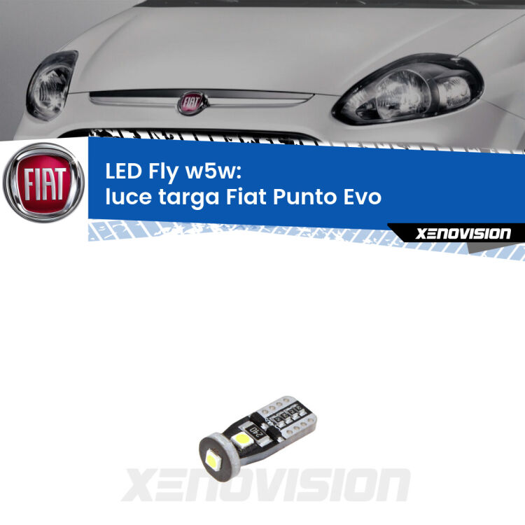 <strong>luce targa LED per Fiat Punto Evo</strong>  2009 - 2015. Coppia lampadine <strong>w5w</strong> Canbus compatte modello Fly Xenovision.