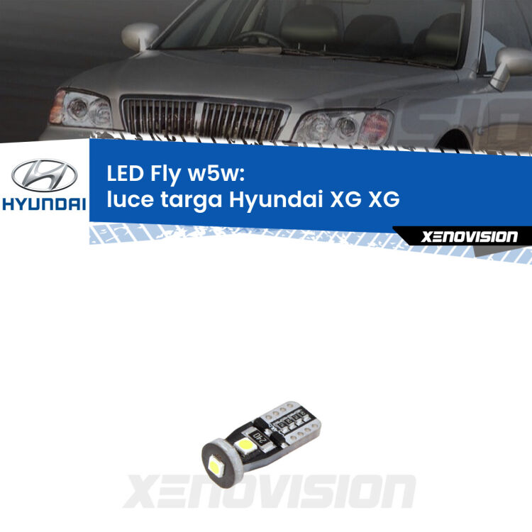 <strong>luce targa LED per Hyundai XG</strong> XG 1998 - 2005. Coppia lampadine <strong>w5w</strong> Canbus compatte modello Fly Xenovision.
