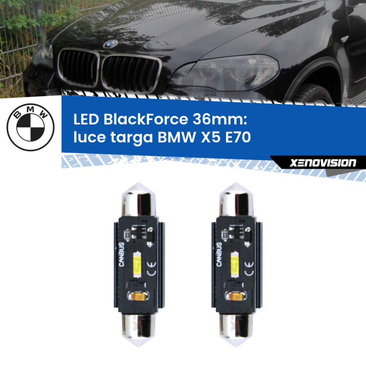 0 Luce Targa LED per BMW X5 E70 2006 - 2013: C5W BlackForce 36mm (Coppia) <strong>Luce Targa LED per BMW X5</strong> E70 2006 - 2013. Coppia lampade <strong>C5W</strong> 36mm modello BlackForce canbus.