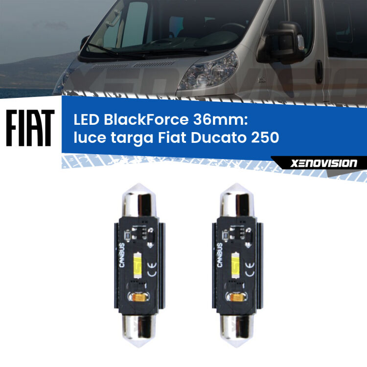 0 Luce Targa LED per Fiat Ducato 250 2006 - 2018: C5W BlackForce 36mm (Coppia) <strong>Luce Targa LED per Fiat Ducato</strong> 250 2006 - 2018. Coppia lampade <strong>C5W</strong> 36mm modello BlackForce canbus.