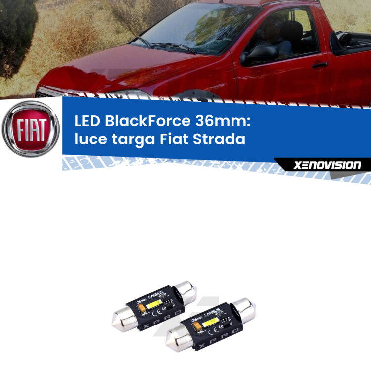 <strong>LED luce targa 36mm per Fiat Strada</strong>  Versione 1. Coppia lampadine <strong>C5W</strong>modello BlackForce Xenovision.