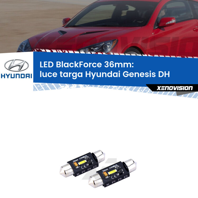 <strong>LED luce targa 36mm per Hyundai Genesis</strong> DH 2014 in poi. Coppia lampadine <strong>C5W</strong>modello BlackForce Xenovision.