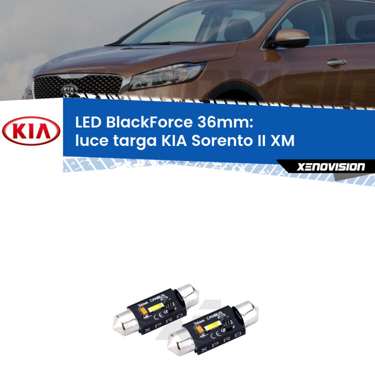 <strong>LED luce targa 36mm per KIA Sorento II</strong> XM 2009 - 2014. Coppia lampadine <strong>C5W</strong>modello BlackForce Xenovision.