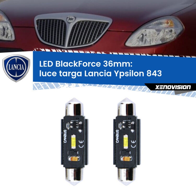 Luce Targa LED per Lancia Ypsilon 843 2003 - 2011: C5W BlackForce 36mm (Coppia) <strong>Luce Targa LED per Lancia Ypsilon</strong> 843 2003 - 2011. Coppia lampade <strong>C5W</strong> 36mm modello BlackForce canbus.